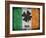 Ireland-Sheldon Lewis-Framed Art Print