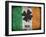 Ireland-Sheldon Lewis-Framed Art Print