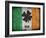 Ireland-Sheldon Lewis-Framed Art Print