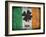 Ireland-Sheldon Lewis-Framed Art Print