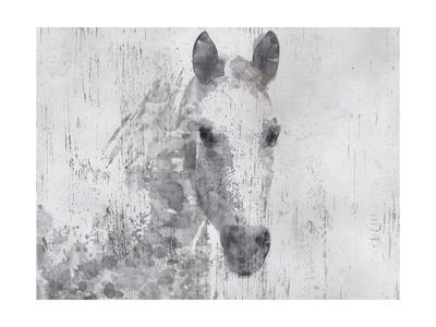 Black and White Horses Mini Poster 13/"x19/"