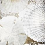White Shells I-Irena Orlov-Art Print