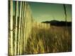 Photographic Print