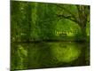 Premium Photographic Print