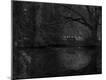 Photographic Print