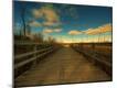 Premium Photographic Print