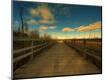 Photographic Print
