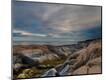 Photographic Print