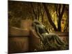 Premium Photographic Print