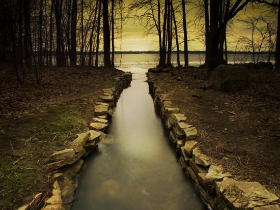 Photographic Print, , large