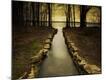 Premium Photographic Print
