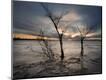 Photographic Print