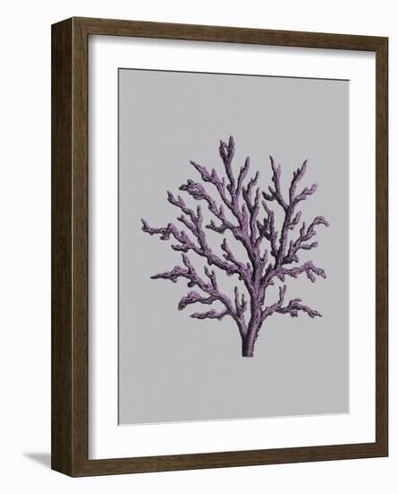 Iridescent Coral II-Maria Mendez-Framed Art Print