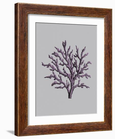Iridescent Coral II-Maria Mendez-Framed Art Print