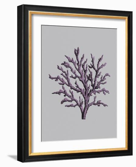 Iridescent Coral II-Maria Mendez-Framed Art Print