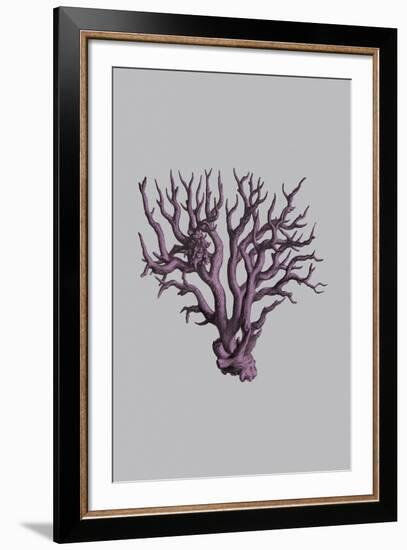 Iridescent Coral III-Maria Mendez-Framed Giclee Print