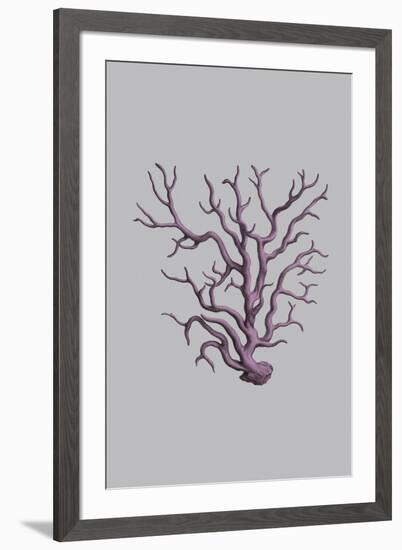 Iridescent Coral IV-Maria Mendez-Framed Giclee Print