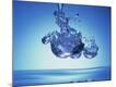 Photographic Print