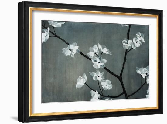 Iridesent Petals-Sydney Edmunds-Framed Giclee Print