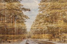 Double Exposure Trees on A Wooden Board Texture-Irina Jesikova-Premier Image Canvas