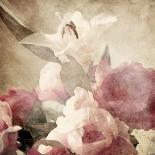 Art Floral Vintage Sepia Blurred Background with White and Pink Roses-Irina QQQ-Art Print