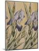 Iris, 1898-Kolo Moser-Mounted Giclee Print
