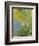 Iris, 1914-17-Claude Monet-Framed Giclee Print