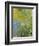 Iris, 1914-17-Claude Monet-Framed Giclee Print