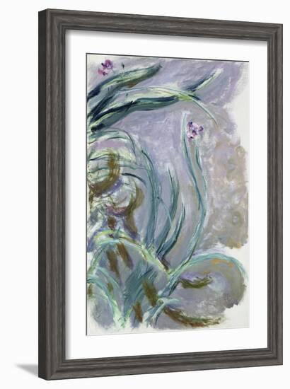 Iris, 1924-25-Claude Monet-Framed Giclee Print