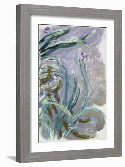 Iris, 1924-25-Claude Monet-Framed Giclee Print