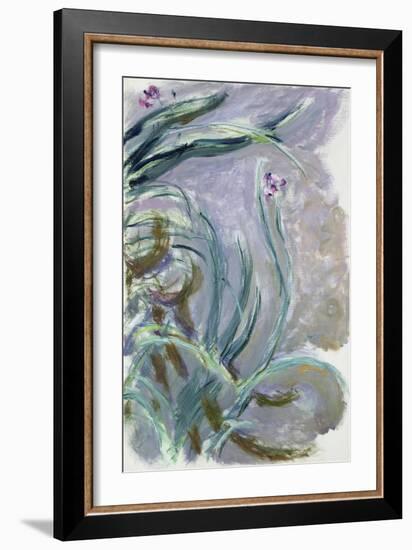 Iris, 1924-25-Claude Monet-Framed Giclee Print