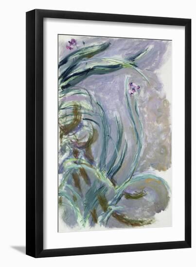 Iris, 1924-25-Claude Monet-Framed Giclee Print