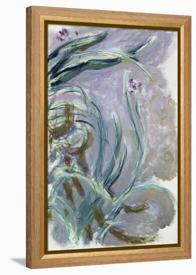 Iris, 1924-25-Claude Monet-Framed Premier Image Canvas