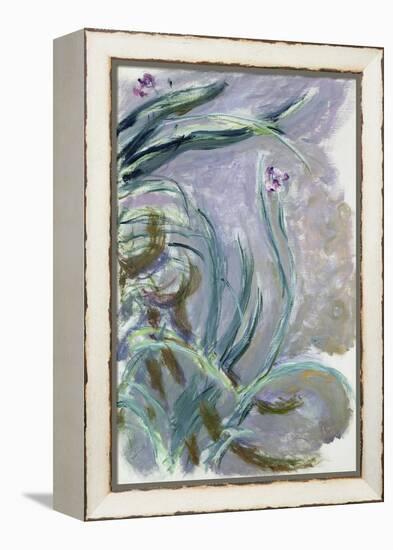 Iris, 1924-25-Claude Monet-Framed Premier Image Canvas