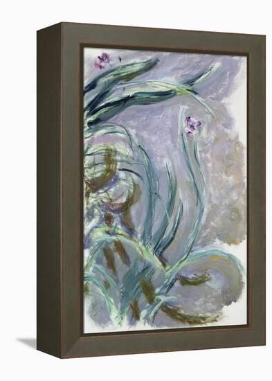 Iris, 1924-25-Claude Monet-Framed Premier Image Canvas
