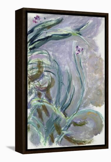 Iris, 1924-25-Claude Monet-Framed Premier Image Canvas