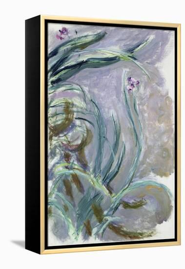 Iris, 1924-25-Claude Monet-Framed Premier Image Canvas