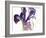 Iris, 1987-Claudia Hutchins-Puechavy-Framed Giclee Print