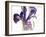 Iris, 1987-Claudia Hutchins-Puechavy-Framed Giclee Print