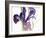 Iris, 1987-Claudia Hutchins-Puechavy-Framed Giclee Print