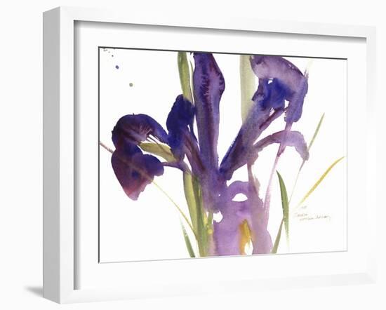 Iris, 1987-Claudia Hutchins-Puechavy-Framed Giclee Print