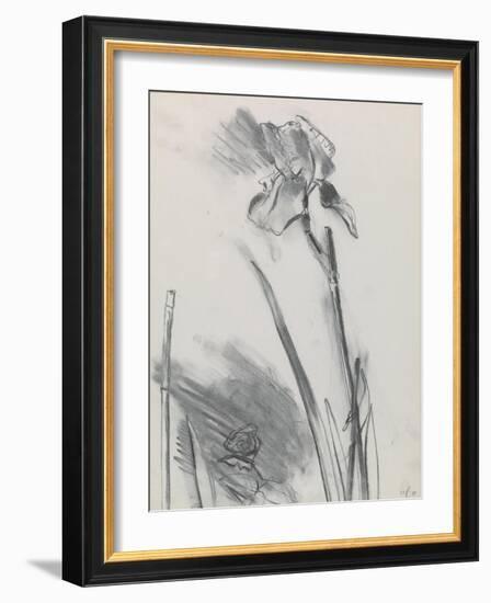 Iris 2-William Packer-Framed Giclee Print