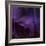 Iris Abstract-Anna Miller-Framed Photographic Print