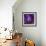 Iris Abstract-Anna Miller-Framed Photographic Print displayed on a wall