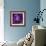 Iris Abstract-Anna Miller-Framed Photographic Print displayed on a wall