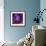 Iris Abstract-Anna Miller-Framed Photographic Print displayed on a wall