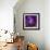 Iris Abstract-Anna Miller-Framed Photographic Print displayed on a wall
