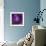 Iris Abstract-Anna Miller-Framed Photographic Print displayed on a wall