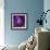 Iris Abstract-Anna Miller-Framed Photographic Print displayed on a wall