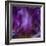 Iris Abstract-Anna Miller-Framed Photographic Print